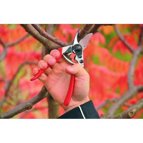 Felco 6 Budama Makası